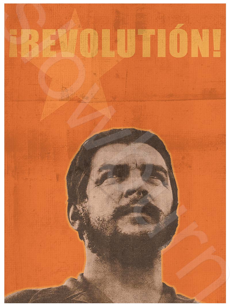 Viva la Revolution
